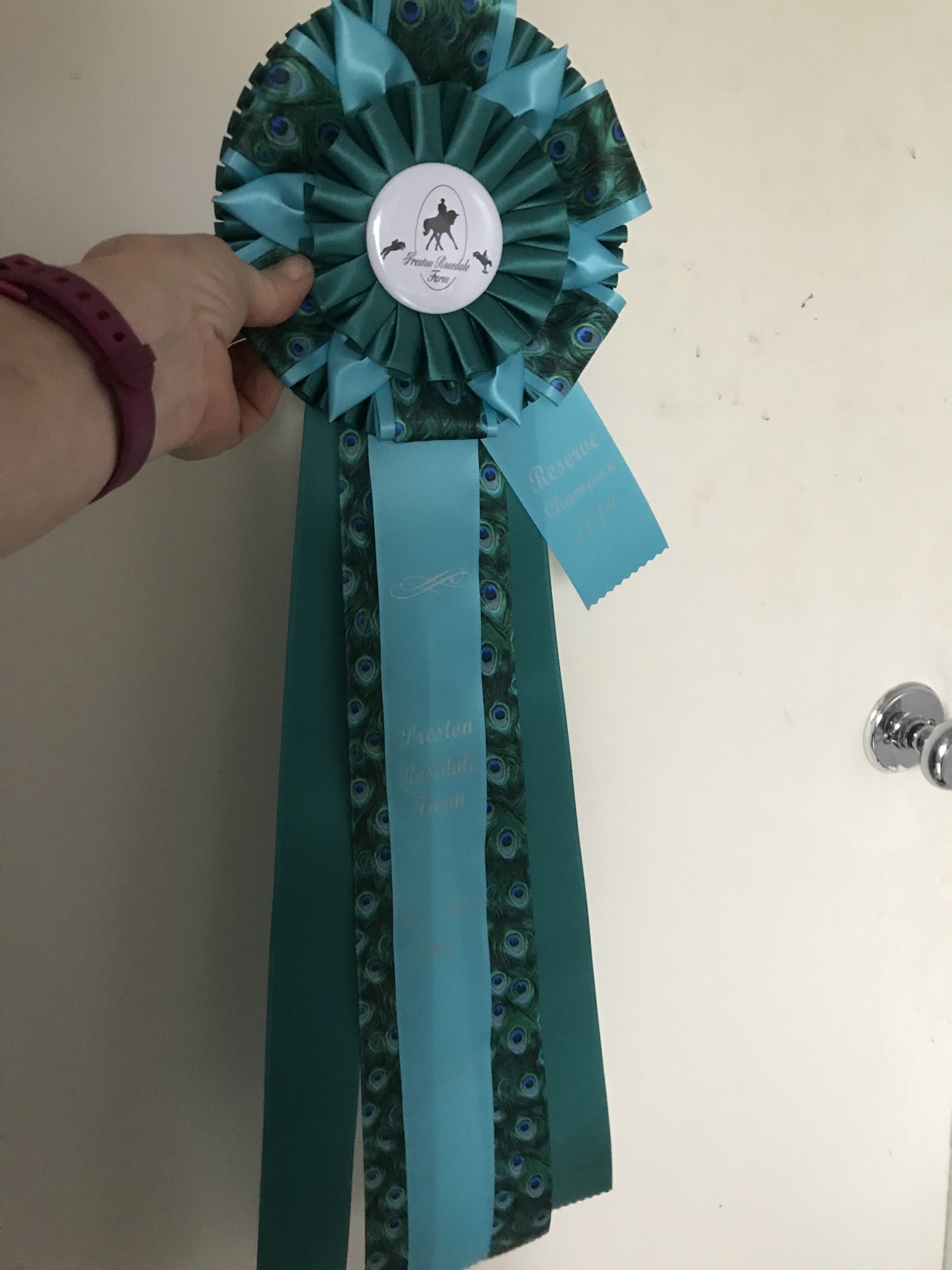 silver show ribbon