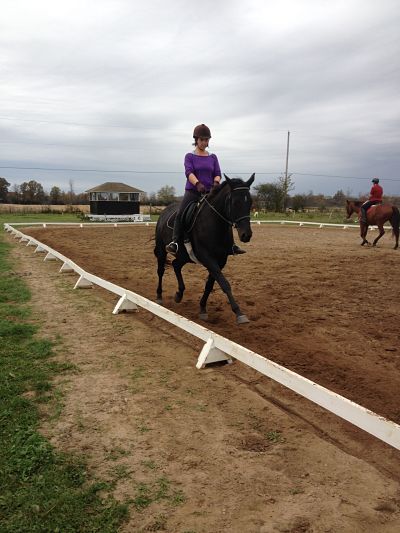 Lesson at Preston Rosedale Farm