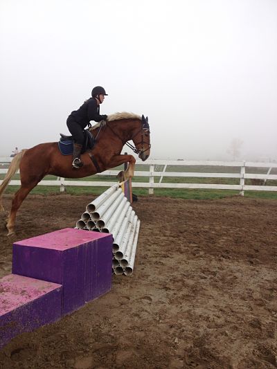 Jumping lesson at Preston Rosedale Farm