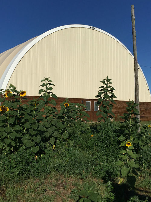 back of arena
