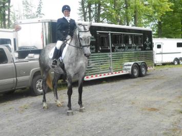Preston Rosedale Show