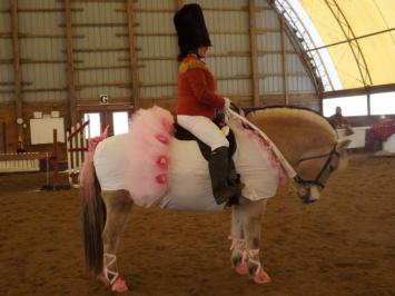 Halloween/Christmas Photos at Preston Rosedale Farm