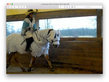 Halloween/Christmas Photos at Preston Rosedale Farm
