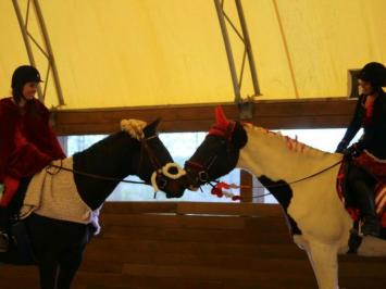 Halloween/Christmas Photos at Preston Rosedale Farm
