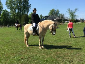 Preston Rosedale Show