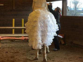 Halloween/Christmas Photos at Preston Rosedale Farm